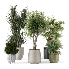 Indoor plants in ferm living bau pot large
